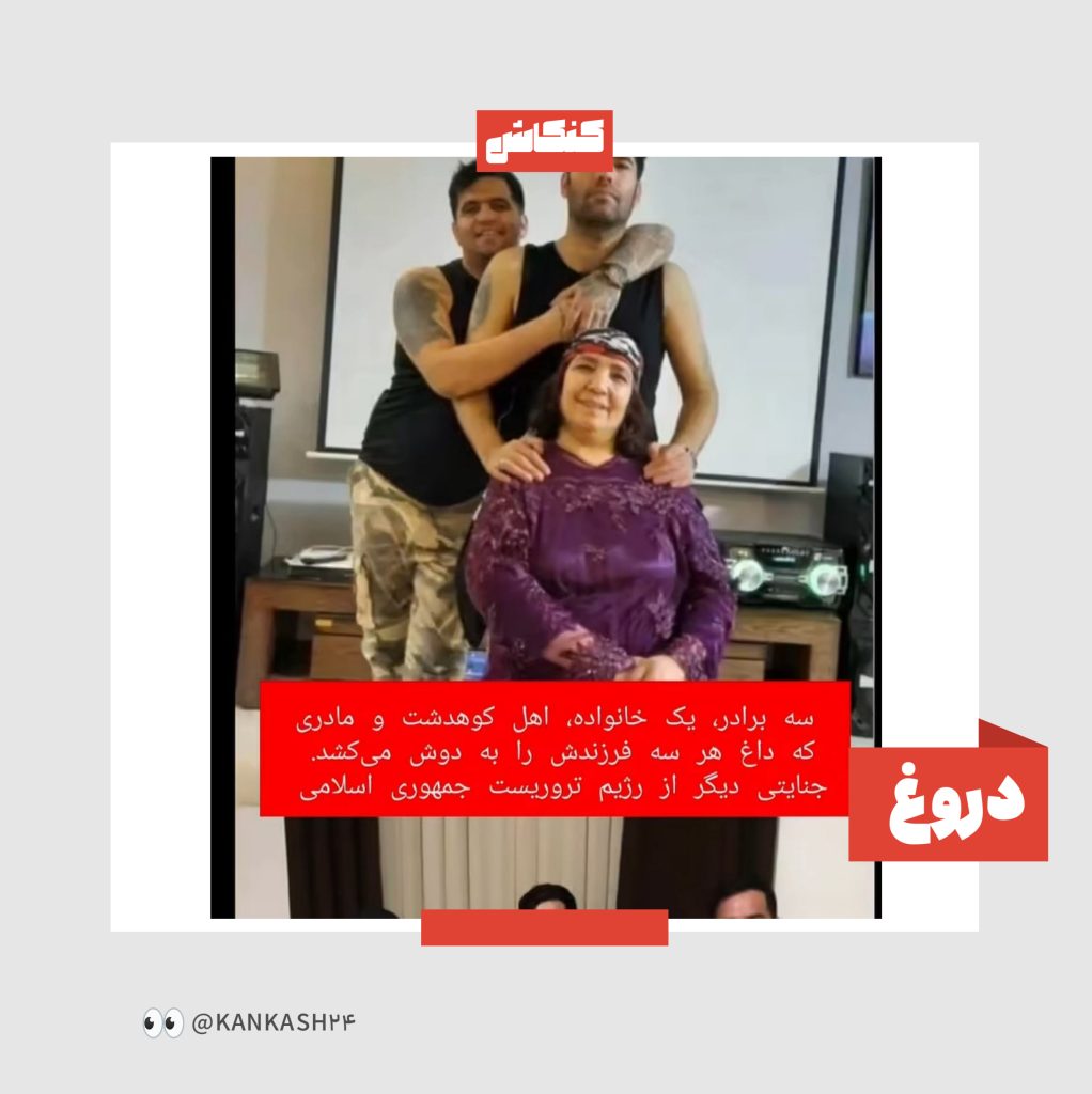 برادران نجفی چرا اعدام شدند